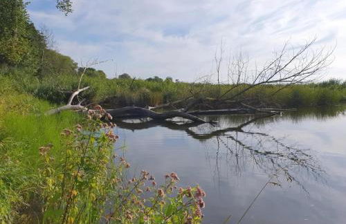 Ferienhof Neuendorfkrug, Lutow - Foto 27