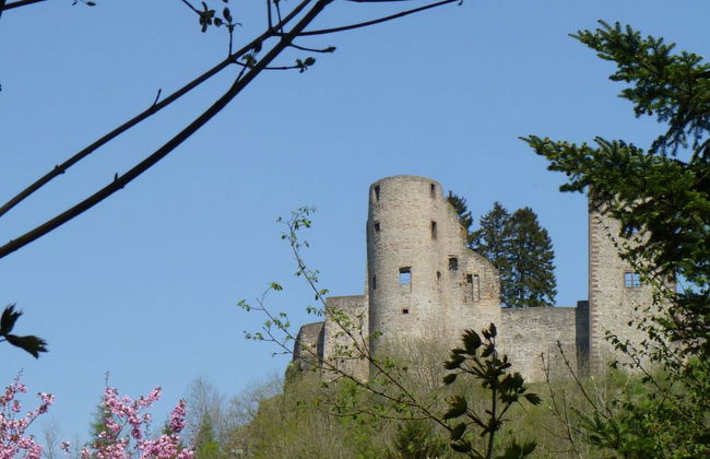 1 bedroom Apartment in Schönecken with garden and terrace - Photo 41