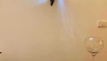 L'Orecchietta 2.0 - Foto 3