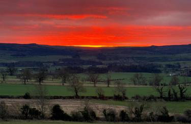 Turnpike House - Foto 68