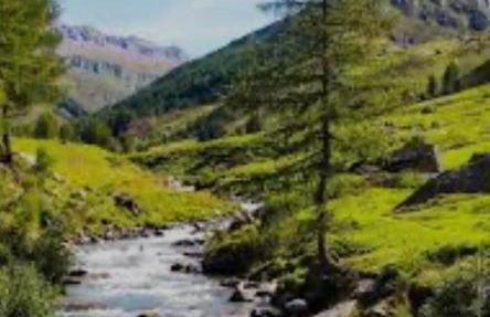 Elegance Mountain Edolo Ponte di Legno - Foto 32