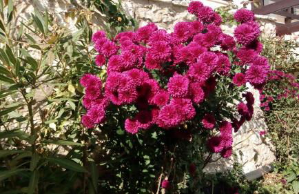 Mountain Ηouse in Arcadia - Foto 26