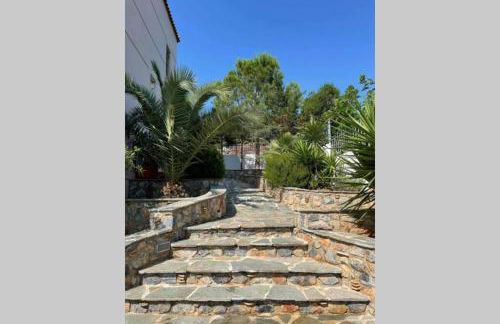 Luxury Villa with swimming pool - Foto 37