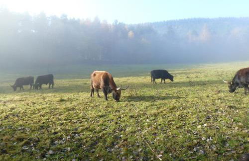 Ferienwohnung Vino Palatina - Foto 25