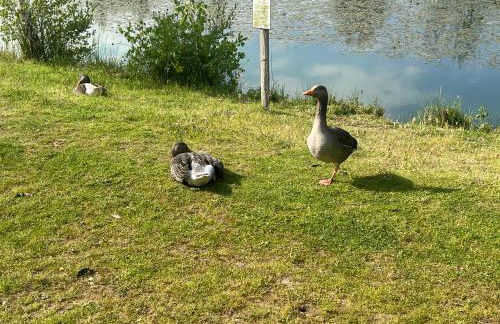 Kingfisher Lodge - Lakeside Lodge With Hot Tub - Foto 69