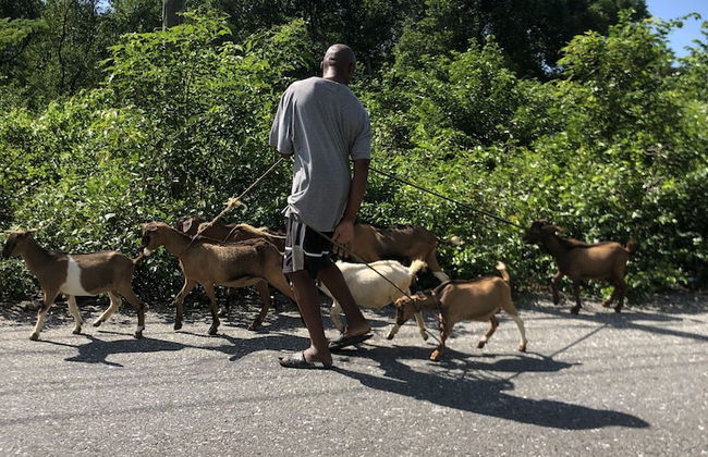 The Belair - Photo 37