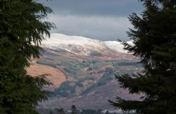 Shegarton Farm Cottages - Foto 82