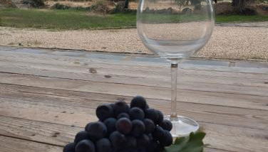 Fabulous 5 BR hidden gem Serra da Estrela - Foto 4