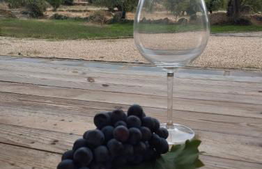 Fabulous 5 BR hidden gem Serra da Estrela - Foto 4