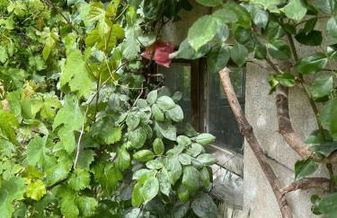 Pavillon de Tranquillité en Sologne - Photo 7