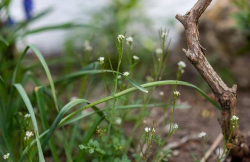 Wohlfühloase Brombachsee - Foto 41