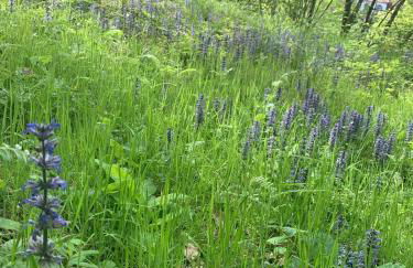 Casa Vacanza Kairos - Foto 14