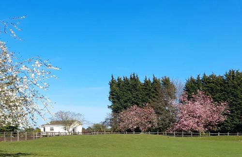 The Paddocks - Foto 19