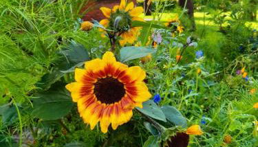 Holiday Home Kettler by Interhome - Foto 5