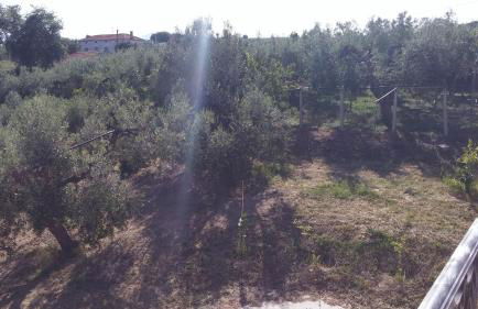 Domus Quarticelli Costa dei Trabocchi - Foto 71