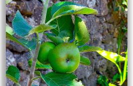 Casa Tío Pedro Martín - Foto 25