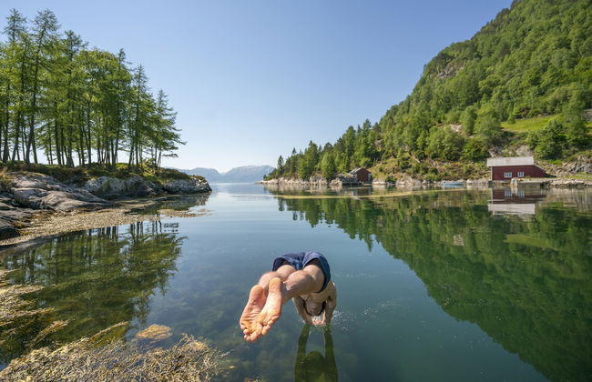 Bosdalhuset - Foto 34