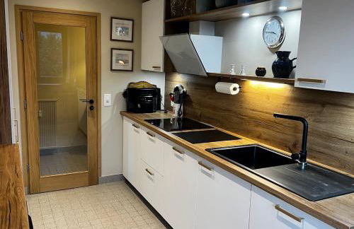 Vue du Mont-Blanc - Photo 19