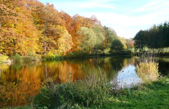 Wohnung Nahe Inselsberg Wanderwege - Foto 25