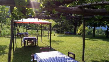 Agriturismo I Fondacci - Foto 3, Garden