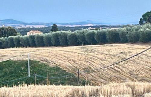 Angolo,di Chianti - Foto 1