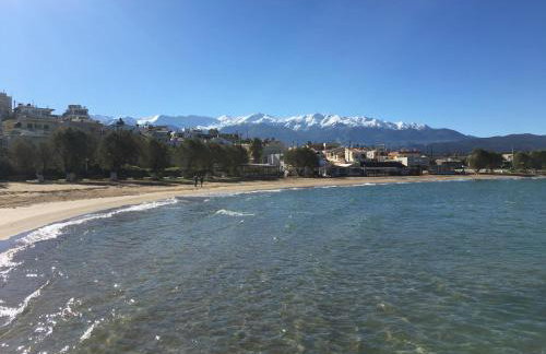 Cloudberry - Photo 30