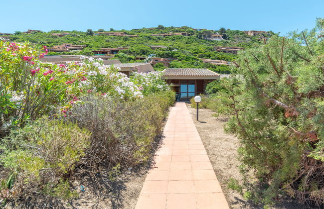 Corbezzolo - Foto 20