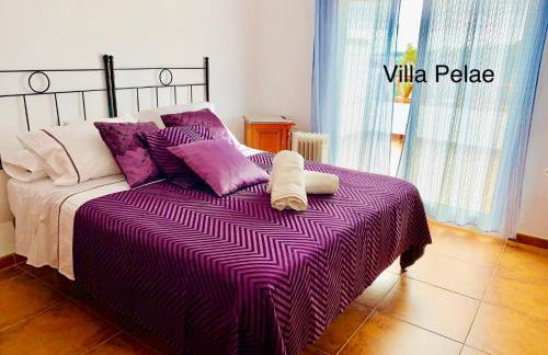 Villa Pelae - Photo 23