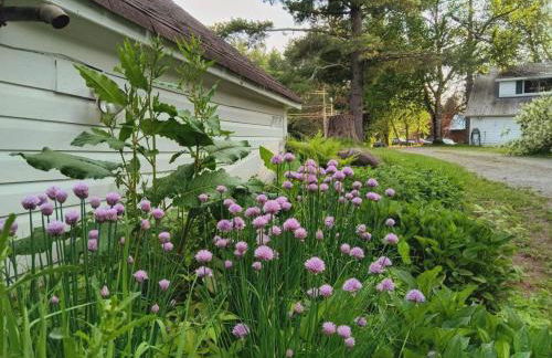 10 Mi to Gore Mountain- Home in Adirondack Park home - Photo 47