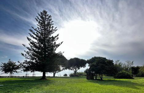 Studio les pieds dans l'eau - Foto 19