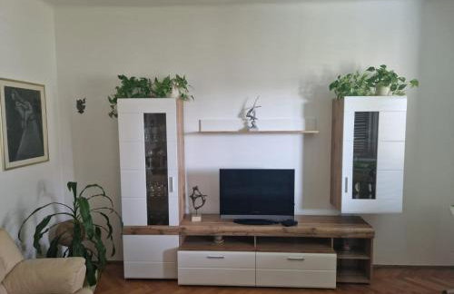 Spacious apartment in the center - Foto 5