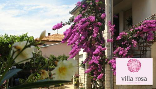 Apartments Villa Rosa - Foto 3, Garden view