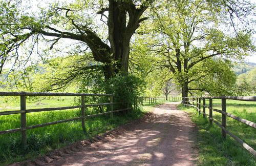 Ferienwohnungen in Losheim am See - Foto 52