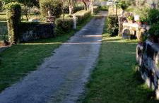 I Giardini di Palazzo Ducale - Foto 31