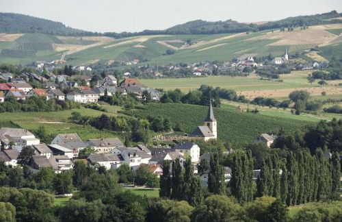 Weingut-Ferienwohnungen Lorenz - nur Urlaubsgäste - Foto 23