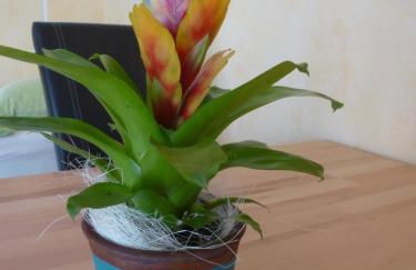 TOP Ferienwohnung Limburg "Am Bildstock" - Photo 14