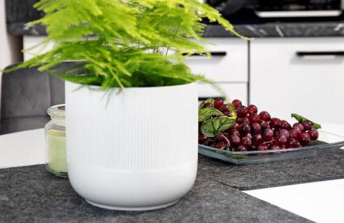 Ferienwohnung am Wartberg - Foto 11