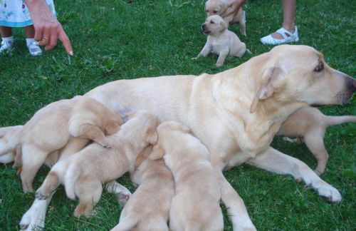 Casa Anhelo El Candíl - Foto 6