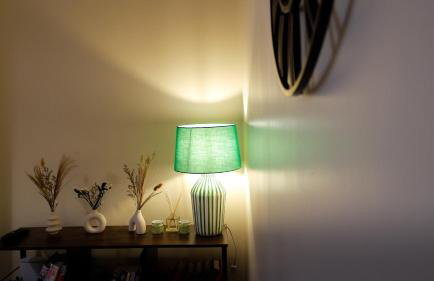 Near Uni and Hospital - Long Stays - Fast Wi-Fi - 15 Mins to City - Foto 44