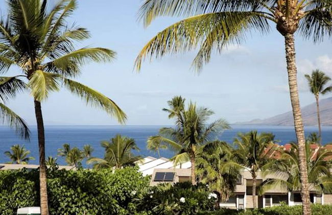 Maui Kamaole - Photo 41