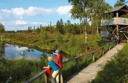 Ferienhaus Ahlborn - Photo 20