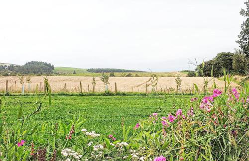 Rural Private Lodge - With Hot Tub - Outdoor Kitchen and Covered Lounge for Two - Foto 30