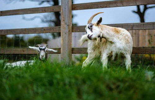 Oak Cottage - Foto 54