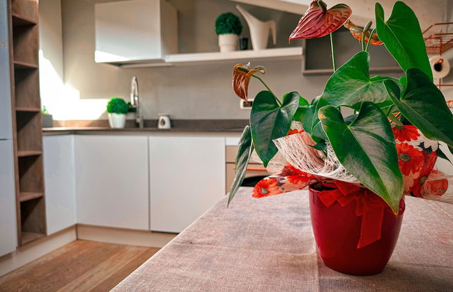 Room in Apartment - The Sweet Attic of Lu in the Historic Center - Photo 3