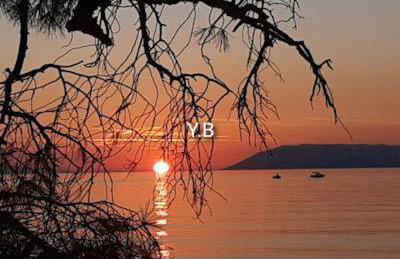 Vila Maslina Apartments mit Pool und Garten nahe am Strand - Foto 17