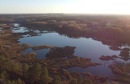 Mazurski Domek Papy Smerfa plaża pomost jezioro prywatny staw gospodarstwo pasieka - Foto 36