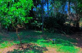 LUMA - Casa de Hospedaria - Foto 6