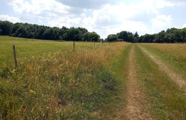 Charmantes Ferienhaus mit Naturgarten - Foto 30