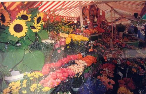 Villa Lympia - Photo 25