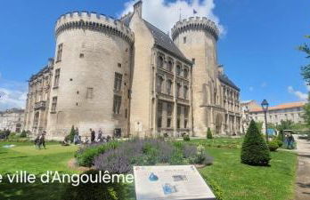 Le Cerf au Bois Dormant - Foto 10